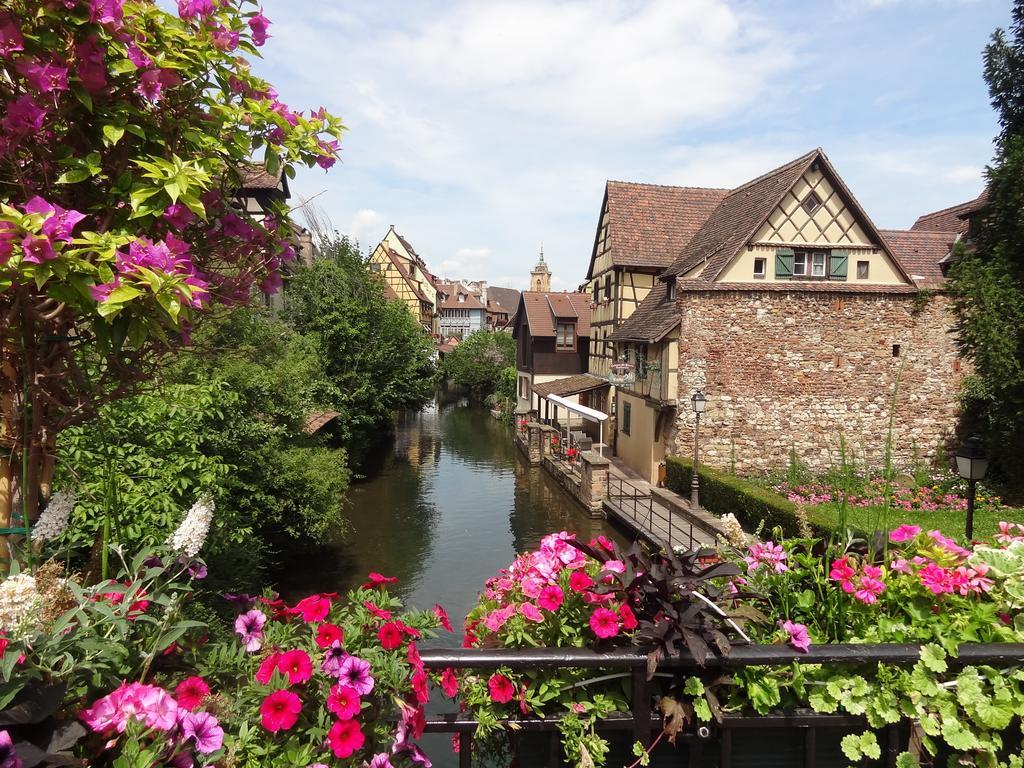 My Sweet Homes - Appartements Avec Spa Colmar Værelse billede